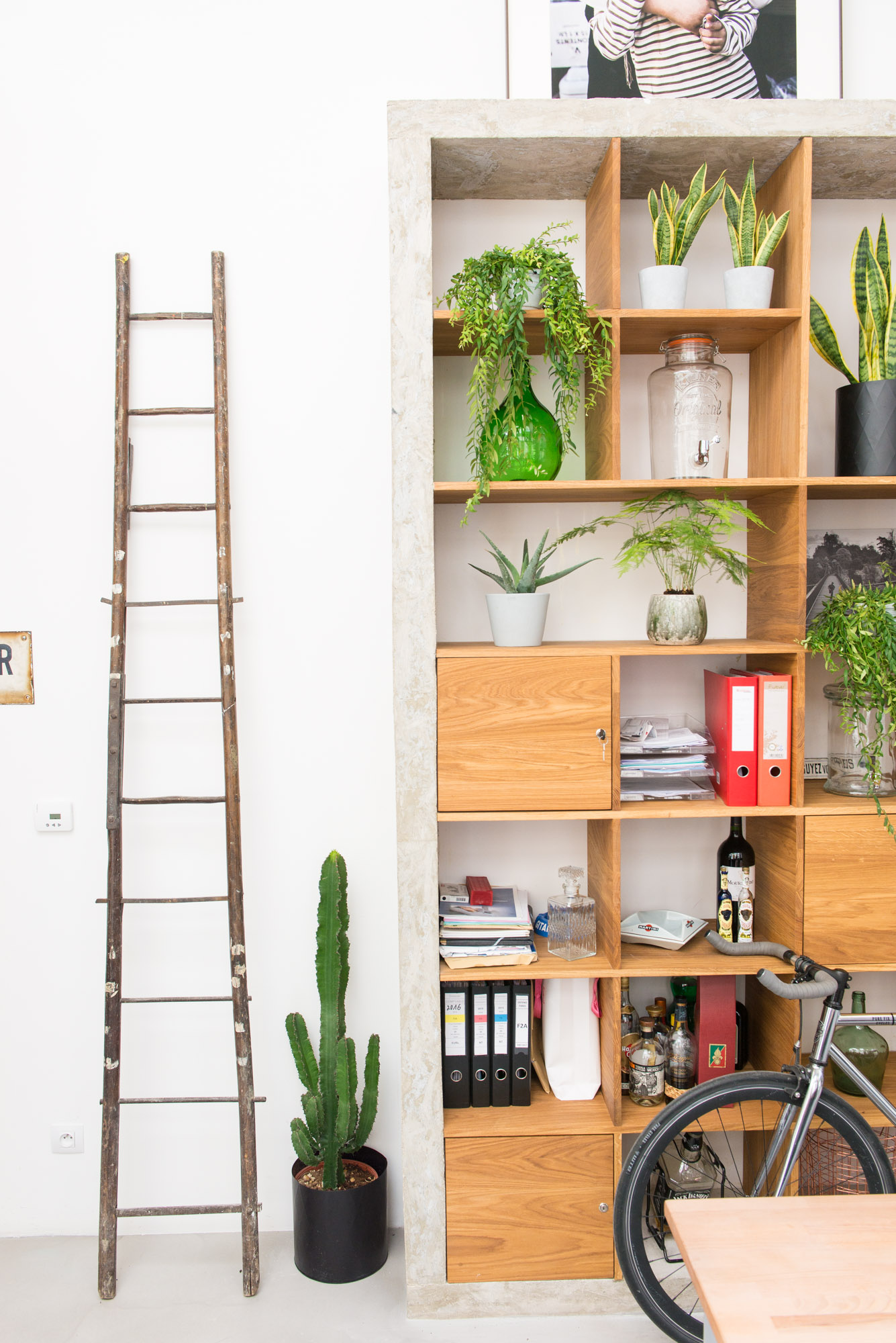 bureau bienfaits plantes végétalisation bureaux décoration végétale d'intérieur