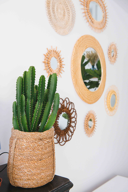 beau cactus bureau