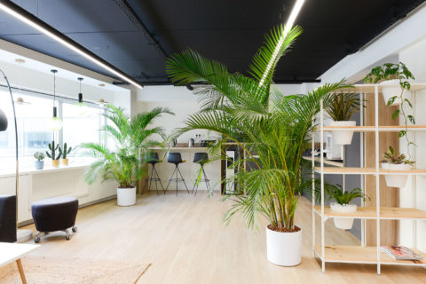 Végétalisation bureaux - Lagardère Travel Retail