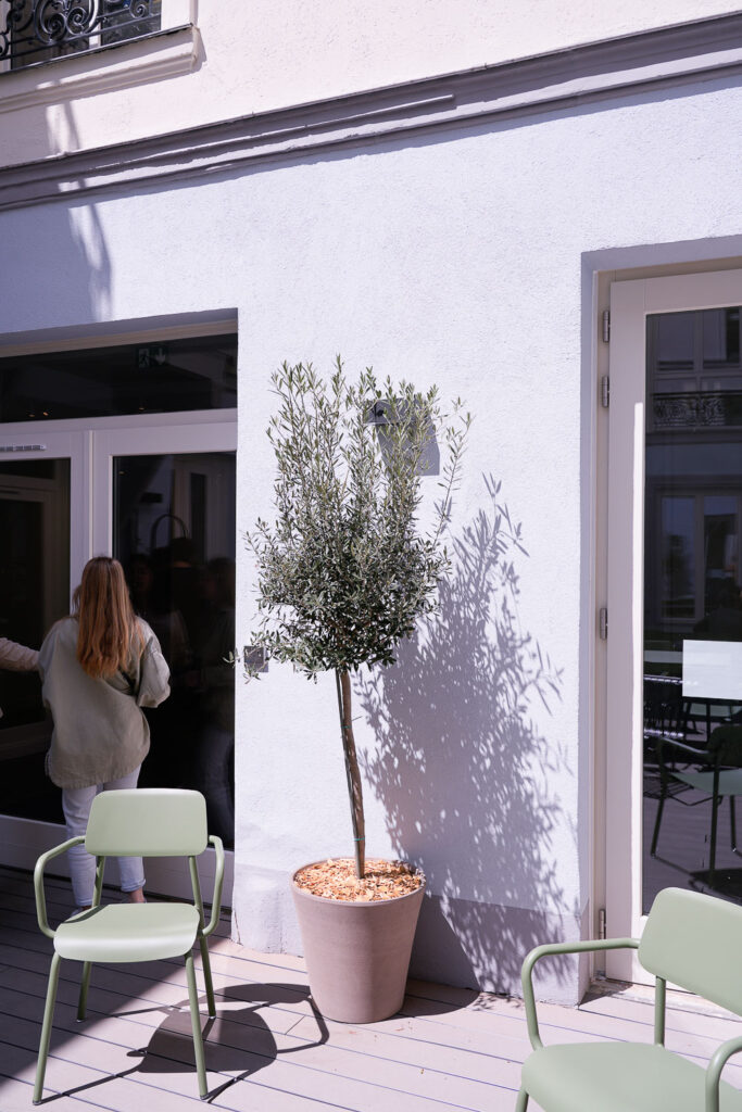 olivier terrasse